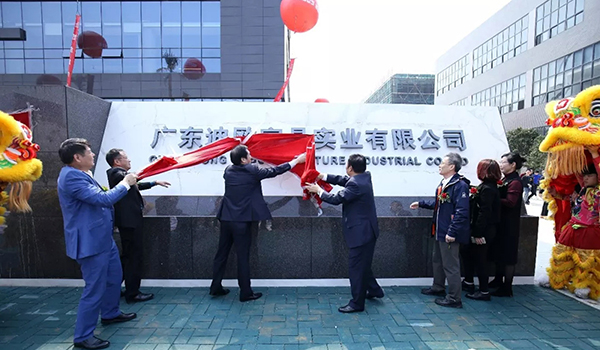 廣東迪歐家具實(shí)業(yè)有限公司
